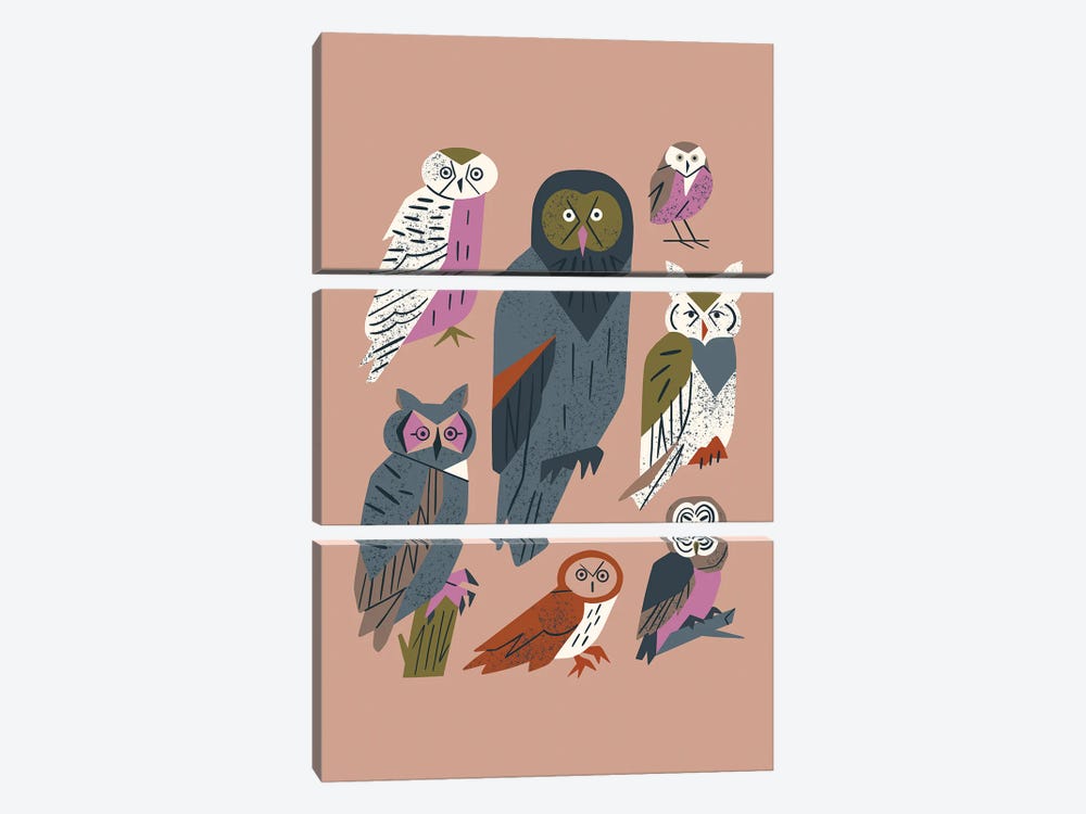 Owl Friends (Dusty Pink) by Renea L. Thull 3-piece Canvas Wall Art
