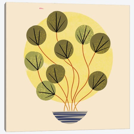 Round Leaf Plant Canvas Print #RNT70} by Renea L. Thull Canvas Print