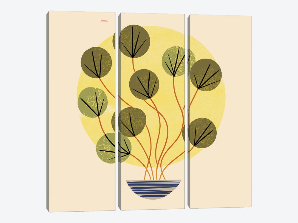 Round Leaf Plant by Renea L. Thull 3-piece Art Print