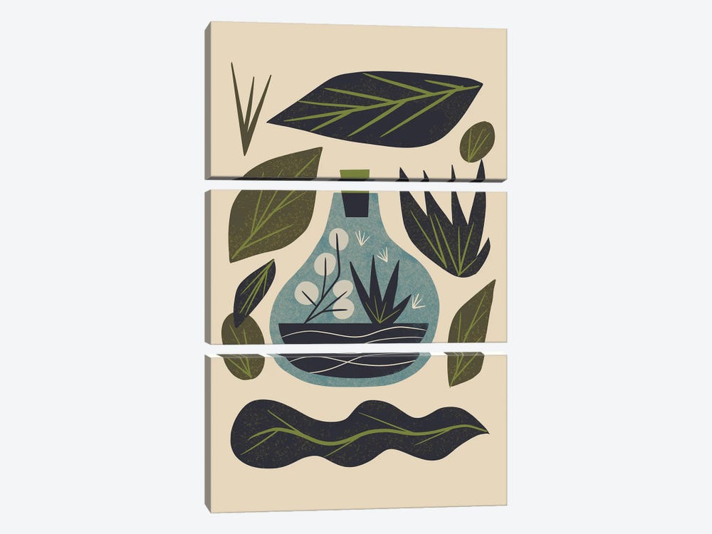 Terrarium And Leaves by Renea L. Thull 3-piece Canvas Wall Art