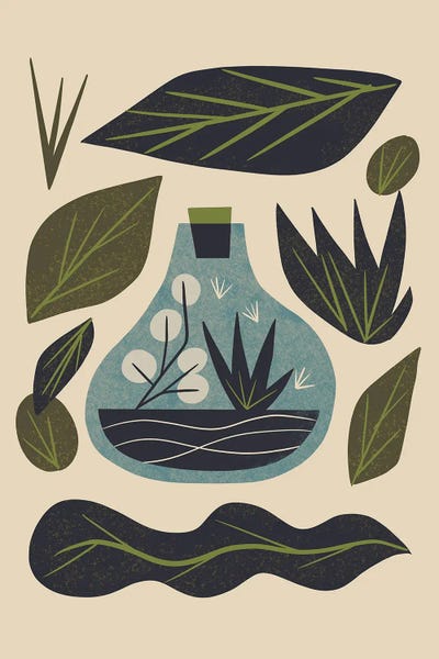 Terrarium And Leaves