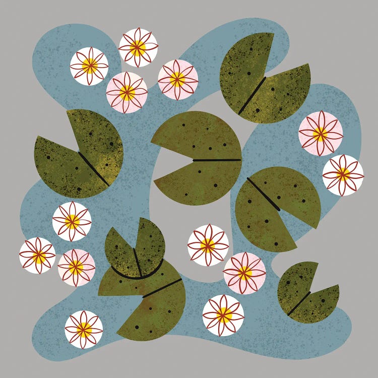 Water Lilies In Bloom