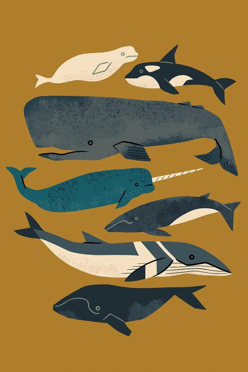 Whales Ahoy (Ochre)