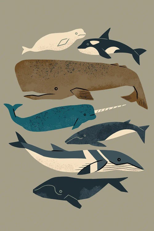 Whales Ahoy (Gray) by Renea L. Thull wall art