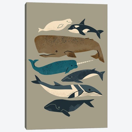 Whales Ahoy (Gray) Canvas Print #RNT83} by Renea L. Thull Canvas Artwork