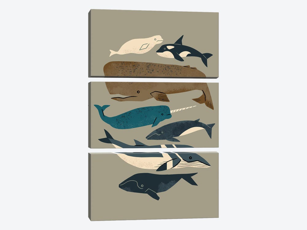 Whales Ahoy (Gray) by Renea L. Thull 3-piece Canvas Art Print