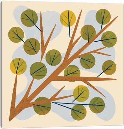 Branch And Leaves Canvas Art Print - Renea L. Thull
