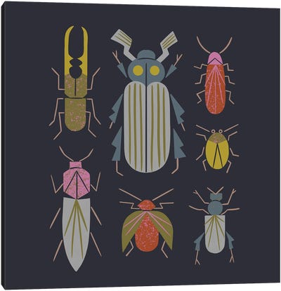 Beetle Specimens Canvas Art Print - Mid-Century Modern Animals