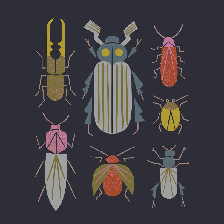 Beetle Specimens by Renea L. Thull wall art