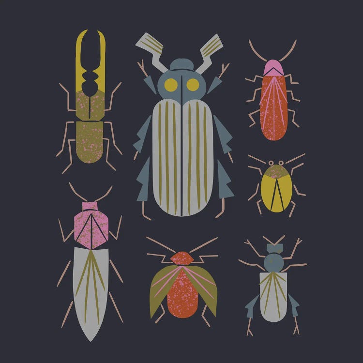 Beetle Specimens by Renea L. Thull wall art