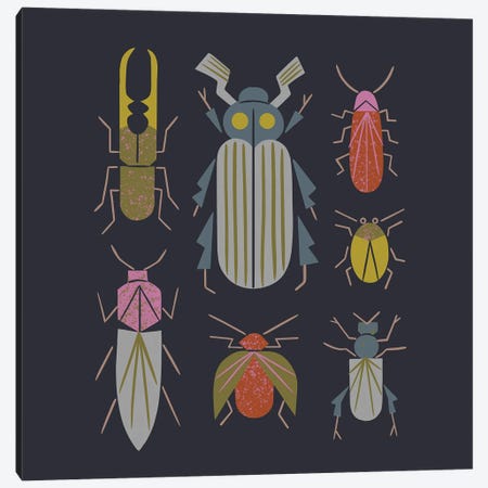 Beetle Specimens Canvas Print #RNT8} by Renea L. Thull Canvas Artwork