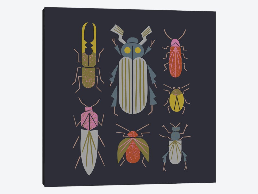 Beetle Specimens by Renea L. Thull 1-piece Canvas Art