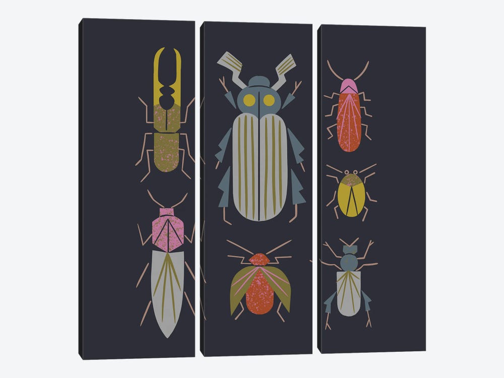 Beetle Specimens by Renea L. Thull 3-piece Canvas Artwork
