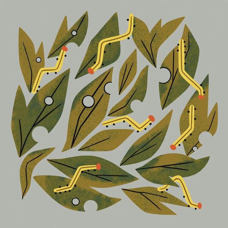 Munching Caterpillars