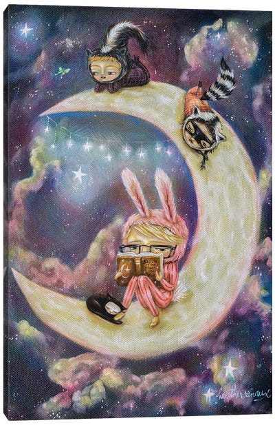 Galaxies of Imagination Canvas Art Print - Skunk Art