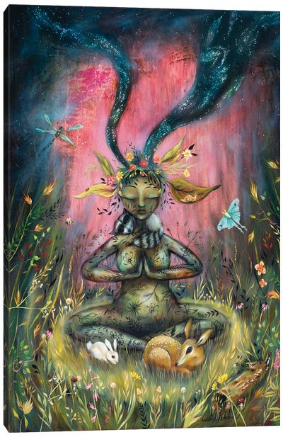 Balance Of Stardust Canvas Art Print - Heather Renaux