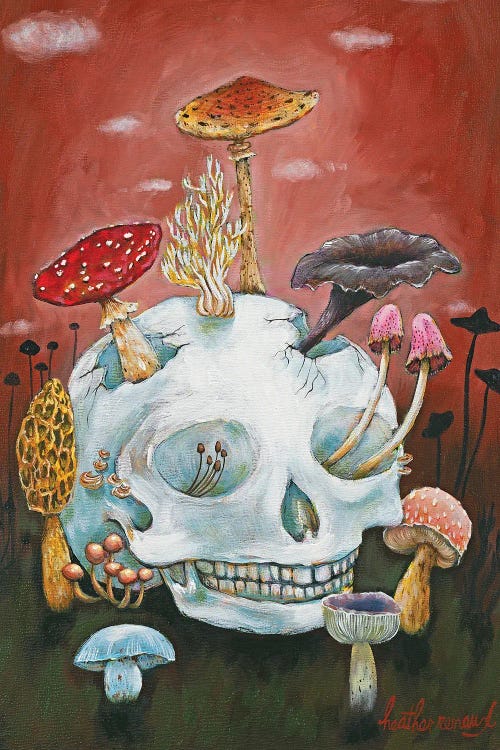 Mushroom Skull