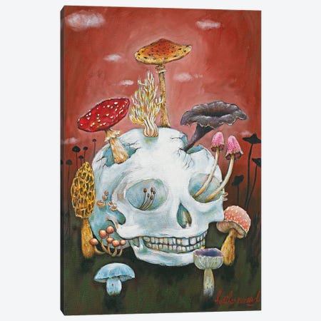 Mushroom Skull Canvas Print #RNX147} by Heather Renaux Canvas Wall Art