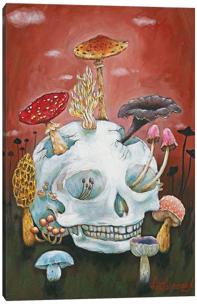 Mushroom Skull Canvas Art Print - Heather Renaux