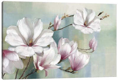 Magnolia Blooms Canvas Art Print - Traditional Décor