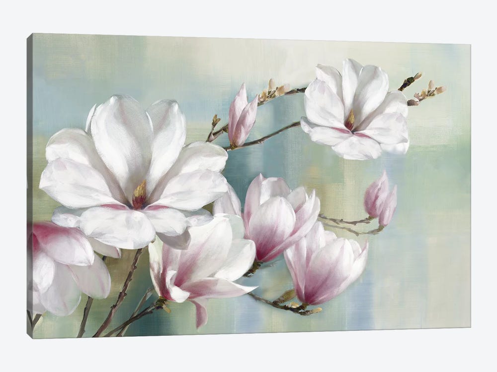 Magnolia Blooms by Rogier Daniels 1-piece Art Print