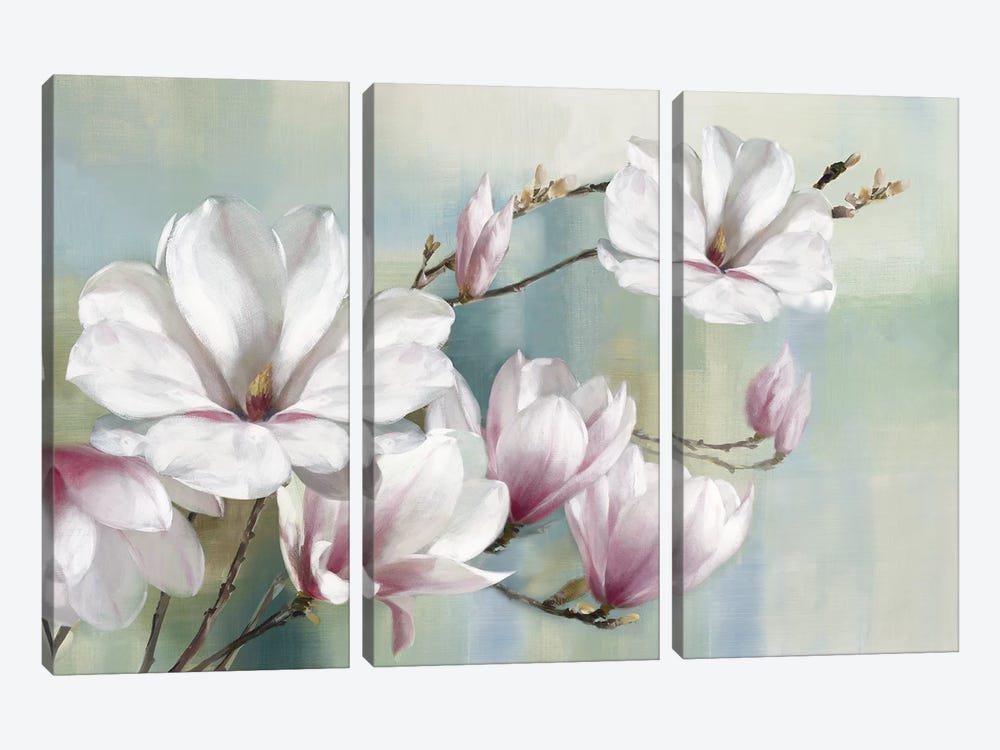 Magnolia Blooms by Rogier Daniels 3-piece Canvas Art Print
