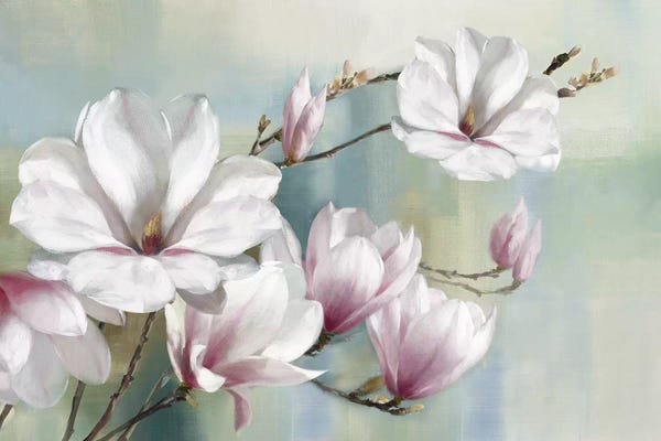 Spring: Magnolia Blooms by Rogier Daniels