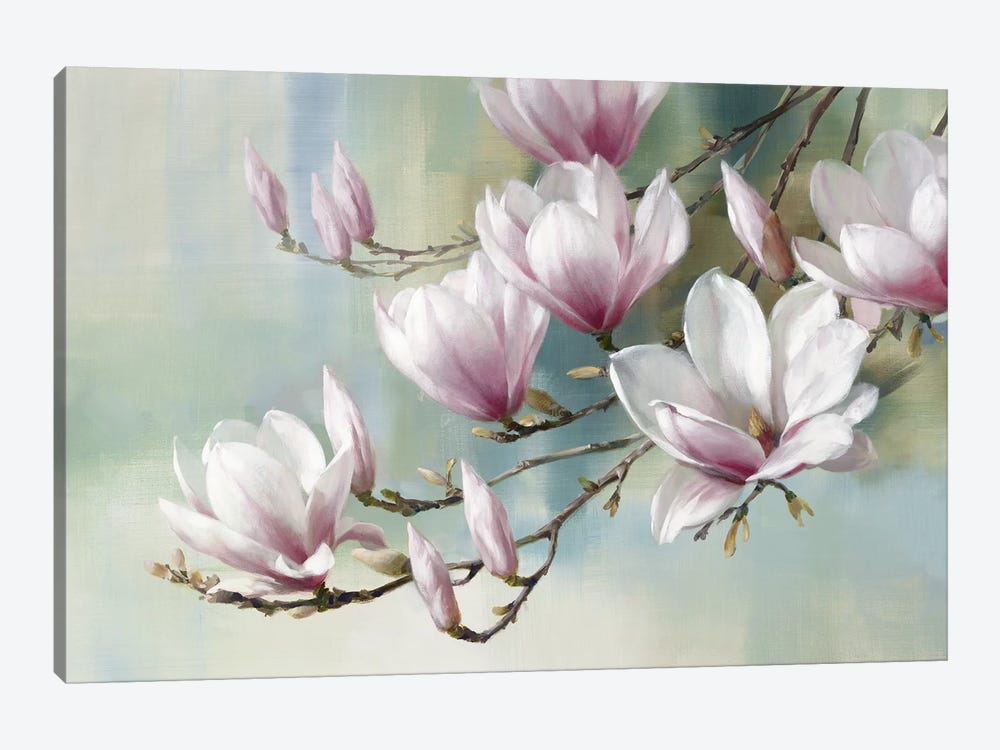 Magnolia Morning by Rogier Daniels 1-piece Canvas Art