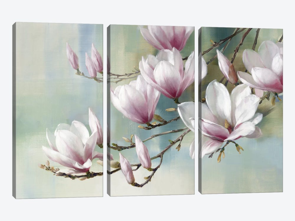 Magnolia Morning by Rogier Daniels 3-piece Canvas Wall Art
