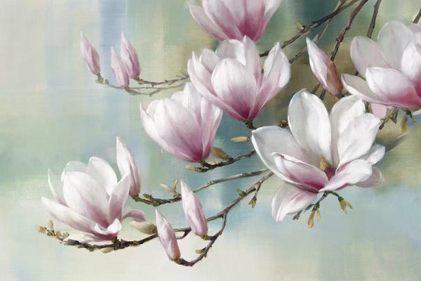 Spring: Magnolia Morning by Rogier Daniels