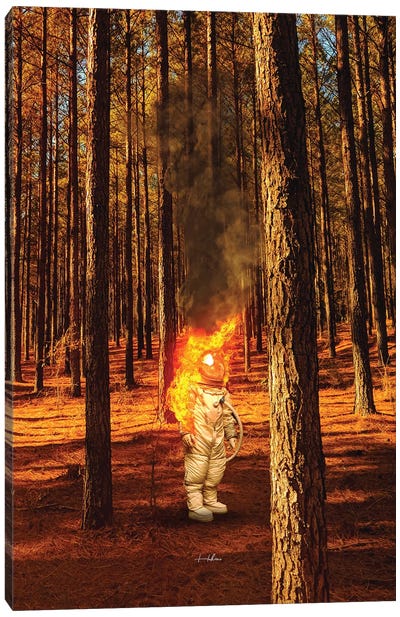 Burn II Canvas Art Print - Rob Hakemo