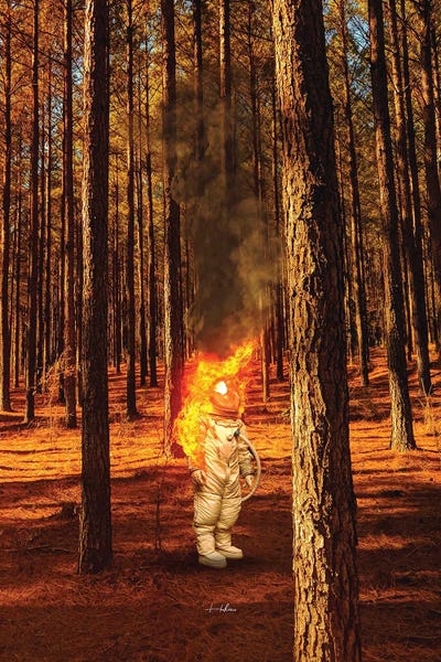 Burn II