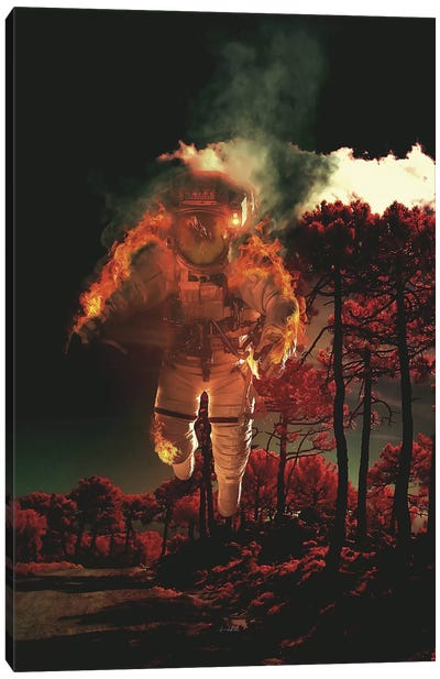 Burn III Canvas Art Print - Rob Hakemo