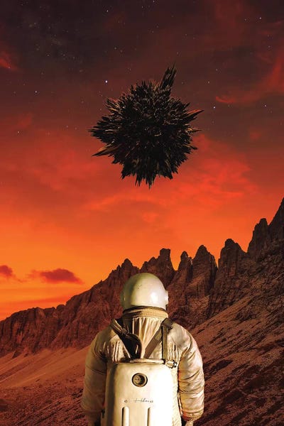 We're Not Alone by Rob Hakemo art print