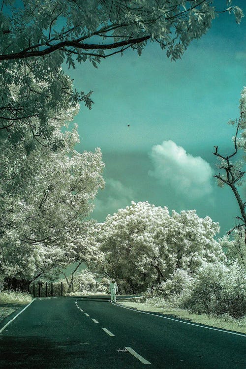Forevermore by Rob Hakemo wall art
