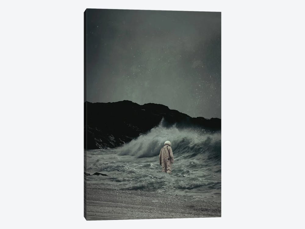 Drifter by Rob Hakemo 1-piece Canvas Wall Art