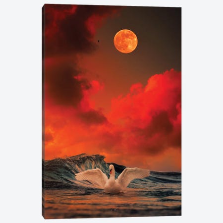 Swan Song. Canvas Print #ROH155} by Rob Hakemo Canvas Wall Art