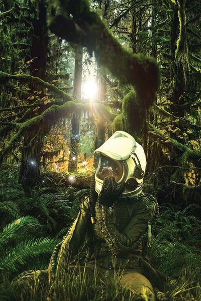 Take The Trails by Rob Hakemo framed wall art