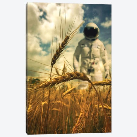 Fields Of Gold Canvas Print #ROH161} by Rob Hakemo Canvas Wall Art