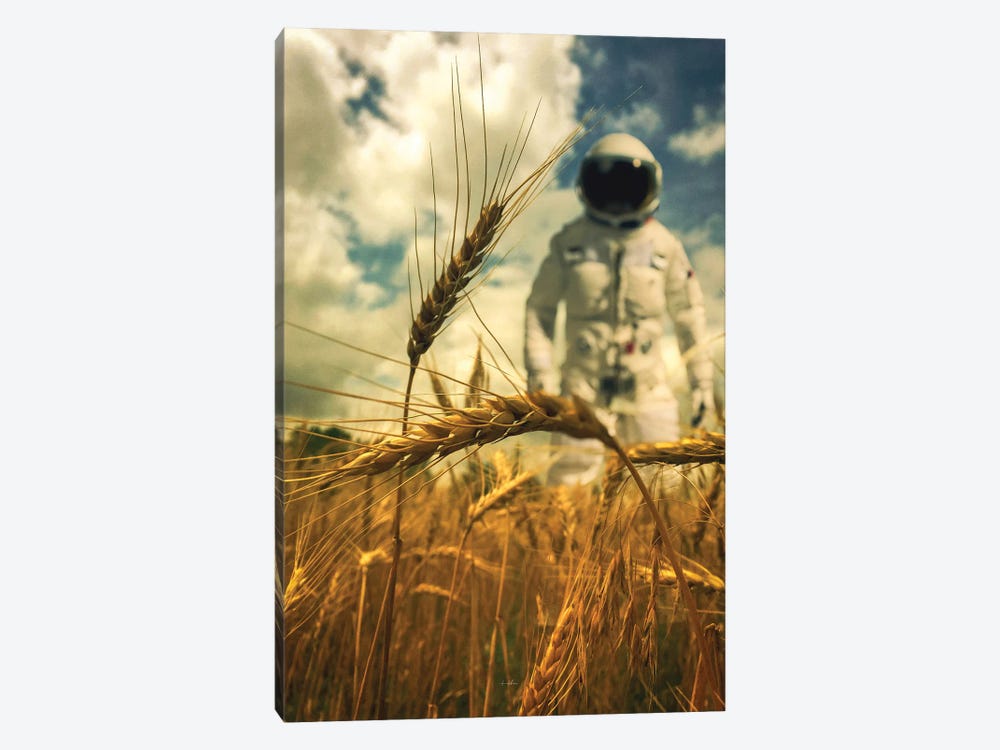 Fields Of Gold by Rob Hakemo 1-piece Canvas Art