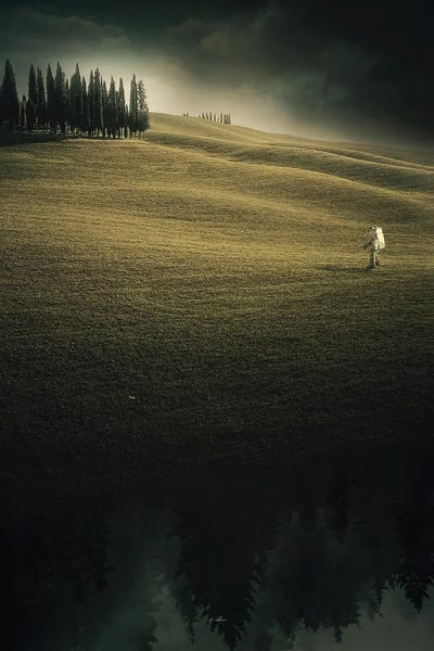 Always Somewhere by Rob Hakemo framed wall art