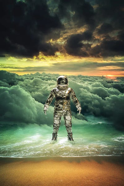 We All Should Rise by Rob Hakemo canvas print