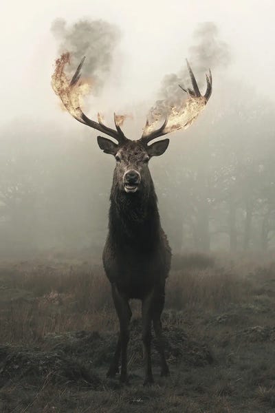 When She Awoke The World Was On Fire Pt III by Rob Hakemo canvas print