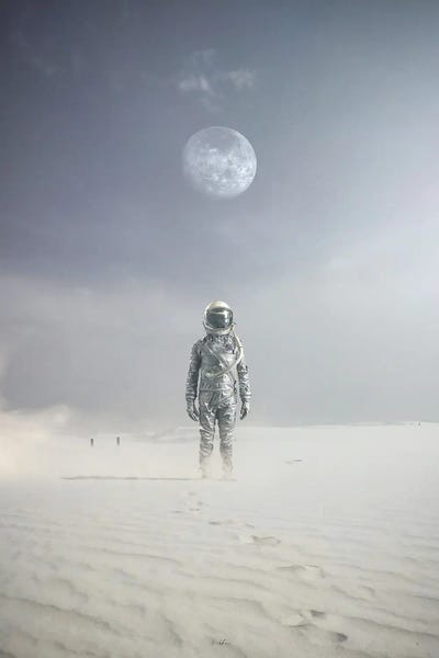 Find Yourself Or Lose Yourself by Rob Hakemo canvas print