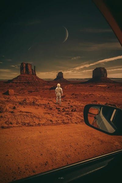 Flourish Anywhere by Rob Hakemo canvas print