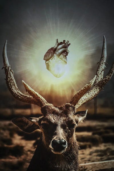 Biology: The Door Of Her Heart by Rob Hakemo