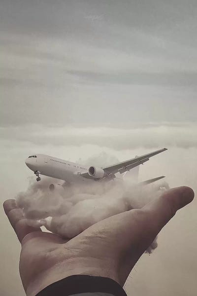 Fly by Rob Hakemo framed wall art