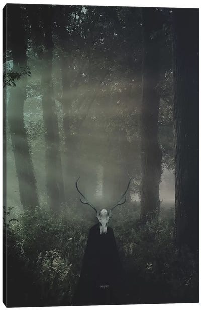 Forest King Canvas Art Print - Rob Hakemo