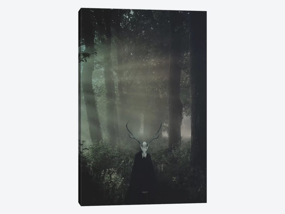 Forest King by Rob Hakemo 1-piece Canvas Art Print