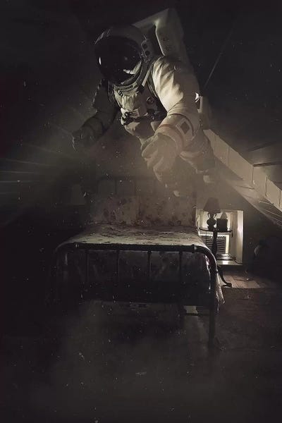 Insomnia by Rob Hakemo framed wall art